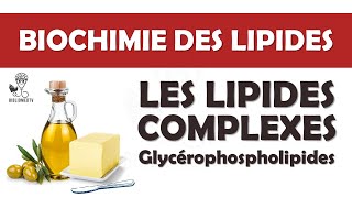 Biochimie des Lipides Complexes  les Glycérophospholipides [upl. by Lanam]