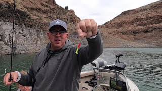 Owyhee Reservoir Crappie Fest [upl. by Aicxela]