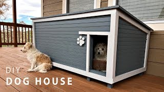 DIY Insulated Dog House Build [upl. by Renraw]