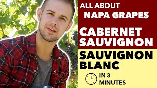 Cabernet Sauvignon amp Sauvignon Blanc  All About The Grapes from Napa amp Beyond [upl. by Aneetak]