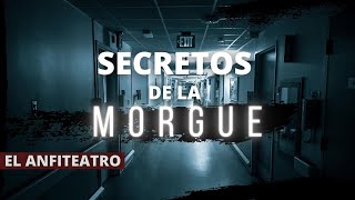 Relato Forense  SECRETOS de la MORGUE  EL ANFITEATRO  Historias de Morgues reales  La morgue [upl. by Jez]