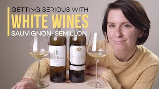 Fine White Wine Sauvignon BlancSémillon  Wine Folly [upl. by Edwina275]