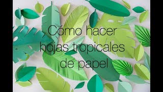 Cómo hacer Hojas Tropicales de papel [upl. by Haye759]