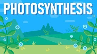 What is Photosynthesis [upl. by Eimmelc]