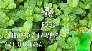 SCIROPPO ALLA MENTA FATTO IN CASA [upl. by Ilenay847]