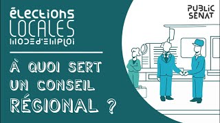 A quoi sert un conseil régional [upl. by Godspeed]