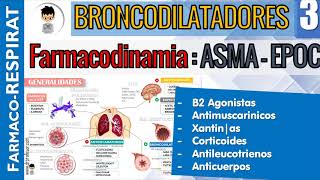 B2 AGONISTAS AntiMUSCARINICOS CORTICOIDES XANTINAS ANTILEUCOTRIENOS Farmacodinamiacinetica 3 [upl. by Purse88]