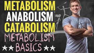 Metabolism Anabolism and Catabolism [upl. by Ahsened]