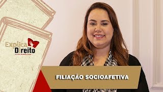 Explica Direito Filiação Socioafetiva  2019 [upl. by Ydna316]