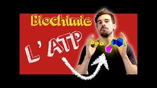 COURS DE BIOCHIMIE LATP présentation générale [upl. by Shultz584]