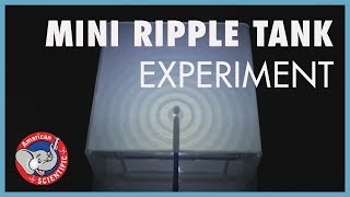 STEM Experiment Ripple Tank [upl. by Rains508]