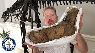 Largest Dinosaur Poop  Guinness World Records [upl. by Venetia]