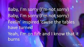 Demi Lovato  Sorry Not Sorry Clean Lyrics [upl. by Clie170]