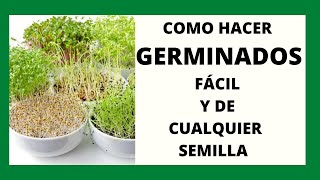 COMO HACER GERMINADOS FÁCIL Y DE CUALQUIER SEMILLA BROTES [upl. by Ailegna]