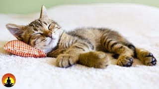 8 Hour Super Sleep Music Relaxing Music Meditation Music Sleeping Music Relaxation Music ☯2479 [upl. by Schuyler]