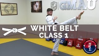 Taekwondo Follow Along Class  White Belt  Class 1 [upl. by Hennie721]