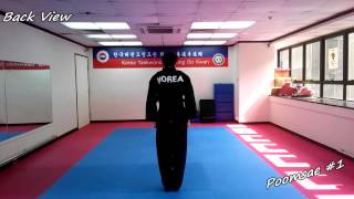 Taekwondo  Poomsae 1 Il Jang Slowmotion amp Mirror [upl. by Rajiv981]