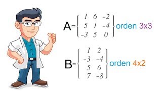 MATRIZ ORDEN DE UNA MATRIZ Y REPRESENTACIÓN  Ejercicios Resueltos [upl. by Rexanna305]