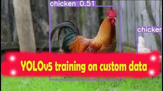 YOLOv5 training with custom data [upl. by Ramyaj]