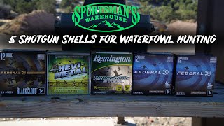 Ammo Review 5 Shotgun Shells for Waterfowl Hunting [upl. by Conant]