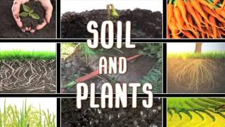 All About soil [upl. by Nanete]