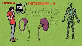 ANFOTERICINA B Mecanismo de acción [upl. by Nutsud]