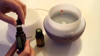 How to use a diffuser for your Essential Oils [upl. by Yeliah]