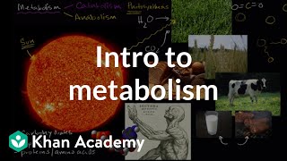 Introduction to metabolism anabolism and catabolism  Khan Academy [upl. by Ahael687]