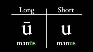 The Latin Alphabet  Vowel Pronunciation [upl. by Nylesaj993]