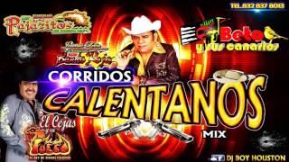 CORRIDOS TIERRA CALIENTE MIX CHINGONES [upl. by Ardnu522]