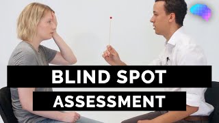 Blind Spot Assessment  OSCE Guide  UKMLA  CPSA  PLAB 2 [upl. by Eener]