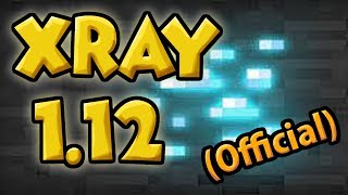 How to Install Xray for 1121 Official  Installation amp usage Tutorial  xray resourcepack 112 [upl. by Allys]