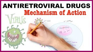 Antiretroviral Drugs Pharmacology  Mechanism of Action [upl. by Atimed]