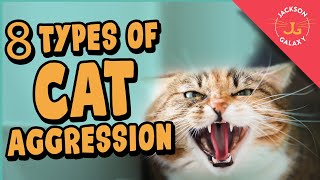 8 Types of Cat Aggression Explained [upl. by Hancock]