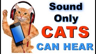 Sound Cats Can Only Hear  HQ [upl. by Yddur30]