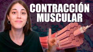 ¿Cómo funciona la CONTRACCIÓN MUSCULAR y qué significa LA HIPERACTINA [upl. by Ahseneuq]