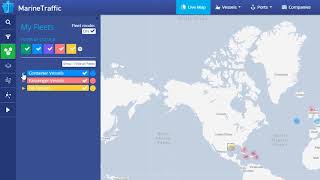 Fleets  MarineTraffic Online Services [upl. by Maze407]