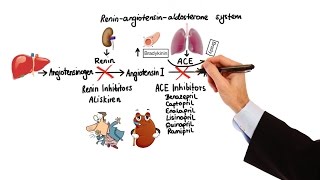 Pharmacology  HYPERTENSION amp ANTIHYPERTENSIVES MADE EASY [upl. by Ennaus]