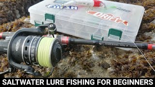 SALTWATER LURE FISHING FOR BEGINNERS  WHERE TO START SEA FISHING UK [upl. by Tandi]