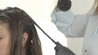 How To Apply Madison Reed Hair Color with a Bowl and Brush [upl. by Llehcam]