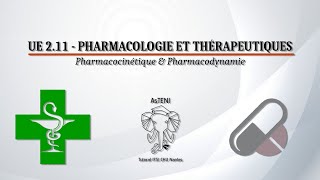 UE 211 S1  Pharmacocinétique et Pharmacodynamie [upl. by Mattson]