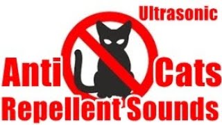 Anti Cats Repellent Sounds  Chase The Cats Away StopCats AntiCAts [upl. by Renaldo83]