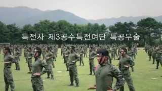 Korean Special Forces Tae Kwon Do Demo [upl. by Tybie618]