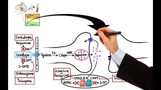 Pharmacology  DRUGS FOR PARKINSONS DISEASE MADE EASY [upl. by Gnaoh]