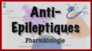 Les Antiépileptiques dans lEpilepsie  Pharmacologie [upl. by Nievelt]