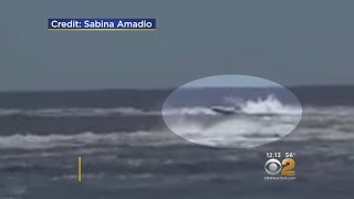 Deadly Speedboat Crash Caught On Video [upl. by Nnanerak]