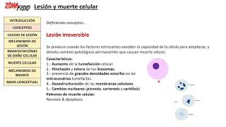 FISIOPATOLOGÍA LESIÓN Y MUERTE CELULAR I [upl. by Burford]