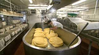 The Art of Cheesemaking [upl. by Jadda]