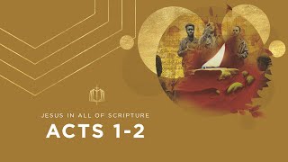 Acts 12  Pentecost  Bible Study [upl. by Wilda]