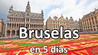 📌 BRUSELAS en 5 días 🟢 GUÍA DE VIAJE 4K  Bélgica [upl. by Dora]